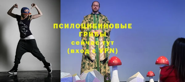спайс Арсеньев