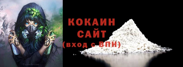 спайс Арсеньев