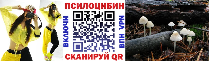 Купить  Данилов  Псилоцибиновые грибы Psilocybe 