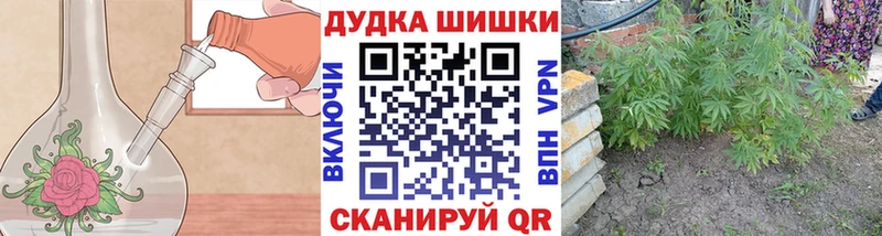 Бошки Шишки семена  Купить  Данилов 